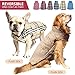 Kuoser Cozy Waterproof Windproof Reversible British Style Plaid Dog Vest Winter Coat Warm Dog Apparel Cold Weather Dog Jacket (L(Back:14.8