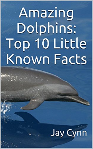 Amazing Dolphins: Top 10 Little Known Facts