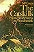The Catskills: From Wilderness to Woodstock, Revised and Updated