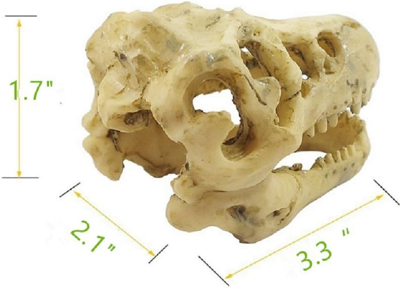 ZYMY Aquarium Decor Resin Emulational Skull - Image 5