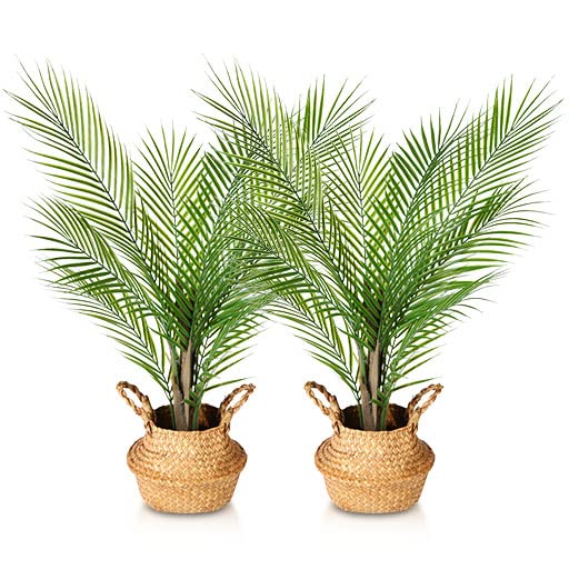Kazeila Artificial Palm Trees - 80cm Tall, Seagrass Basket, Decorative Indoor Plants (2 Pack)