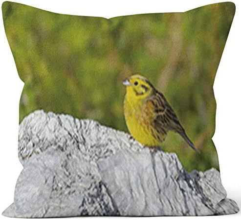Nine City Close up Yellowhammer in Spring (Emberiza citrinella) Sack Burlap Pillow,HD Printing Square Pillow case,28" W by 28" L