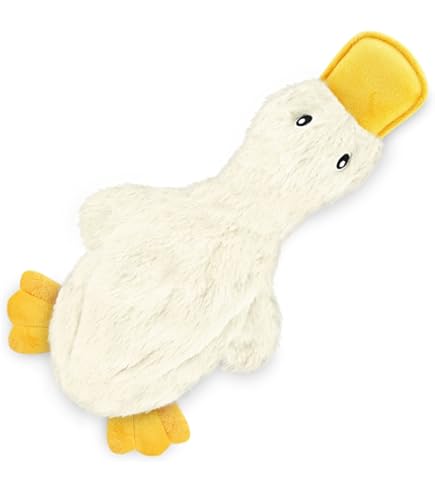 Pet Supplies : The Dodo Stuffing-Free Durable Dodo Bird Dog