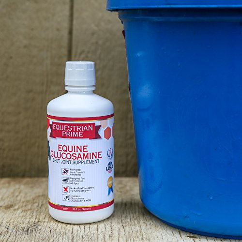 Equestrian PrimePremium Liquid Equine Glucosamine Chondroitin MSMBest