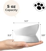 LoeJan Elevated Cat Food Bowl 5 Oz Ceramic Raised Tilted Pet Water Bowl White 4 view 5