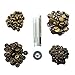 CrazyEve Leathercraft Copper Press Studs Snap Fasteners Poppers Sewing Clothing Snaps Button 40 pcs with Fixing Tool (633(12.5mm)) Bronze