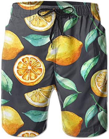 DSWAA Lemon Pattern/Men Gifts Beach Shorts Swim Trunks