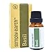 Basil Essential Oil by Simply Earth - 15 ml, 100% Pure Therapeutic Grade