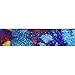 BORN PRETTY 1m Gradient Starry Sky Nail Foil Blue Holographic Paper Nail Manicure Sticker