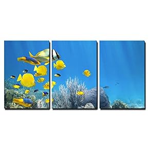 3 Piece Canvas Wall Art - Underwater Coral Reef Scenery with Colorful School of Fish - Modern Home Art Stretched and Framed Ready to Hang - 16"x24"x3 Panels