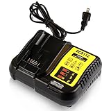 STZ Dewalt DCB112 12-Volt and 20-Volt MAX Lithium-Ion Battery Charger Replace DCB101 DCB105 DCB115 DCB107 - Use for DCB120 DCB127 DCB206 DCB205 DCB201