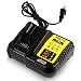 STZ Dewalt DCB112 12-Volt and 20-Volt MAX Lithium-Ion Battery Charger Replace DCB101 DCB105 DCB115 DCB107 - Use for DCB120 DCB127 DCB206 DCB205 DCB201