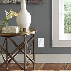 Lutron Claro 15 Amp Duplex Outlet, SCR-15-TP, Taupe