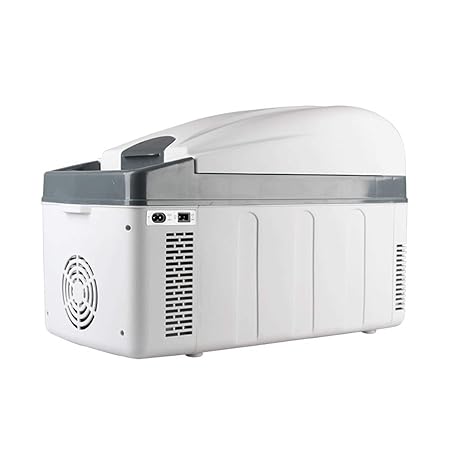 ZL-Nevera termoeléctrica portátil Refrigerador del Coche 20L ...