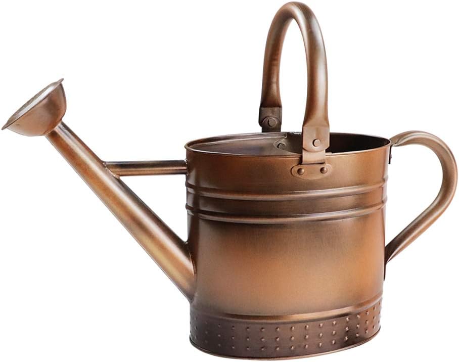 Megawodar 1 Gallon Galvanized Steel Watering Can with