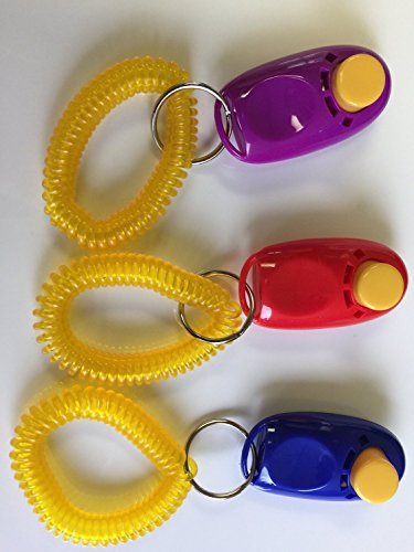 Dog Training Clicker Plus Bonuses! You Get 3 Dog Training Clickers With Wrist Straps, Plus You Get The "Guide For Clicker Training Your Dog" Learn the Right Way to to Train Your Dog By Using the Number One Device Recommend By Professional Dog Trainers. The Guide Provides Great Information on How to Properly Use the Training Clicker. Added Bonus! You Will Also Receive the "9 Step Guide To A Happy Dog" Make Your Dog a True Member of Your Family. What a Great Gift!
