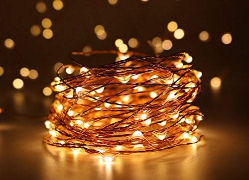 Warm White USB copper wire String Lights,HarrisonTek 39ft 5V DC 100 Bright Mini LEDs, Flexible Starry Light,Waterproof Indoor Outdoor Fairy Light for Wedding Holiday Party Decor
