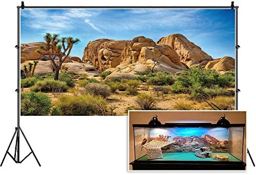 CSFOTO 36x14 inches Joshua Tree National Park Backdrop Arid Barren Cactus Sandstone Rock