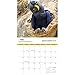 National Geographic Parrots 2018 Wall Calendar