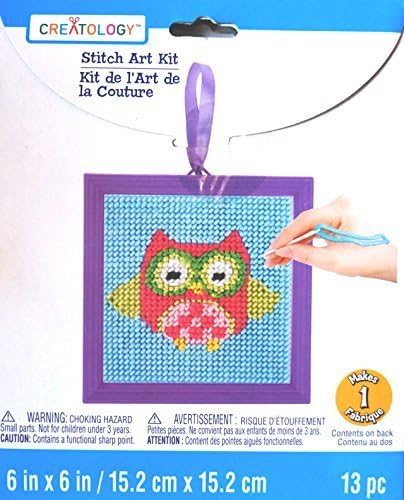 Amazon.com: Owl Stitch Art Kit