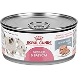royal canin mother babycat ultra soft mousse in sauce wet cat food for new kittens and nursing or pregnant mother cats 5 8 ounce pack of 24 