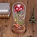 sexyrobot Beauty and the Beast Red Rose, Silk Flower with LED Light in a Glass Dome for Home Decor Holiday Party Wedding Anniversary Birthday Valentine's Day Gift