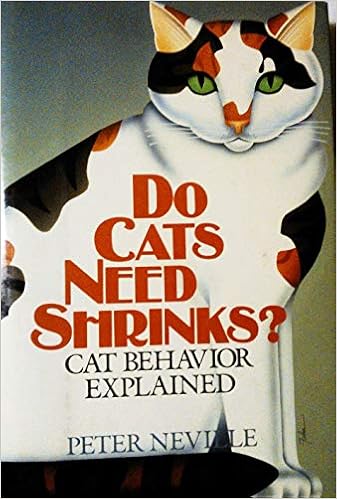 all about cat behavior