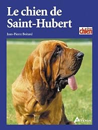 Le  chien de Saint-Hubert