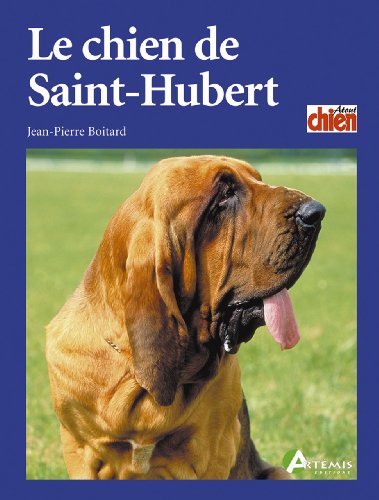 Le  chien de Saint-Hubert