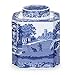 Portmeirion Home & Gifts Tea Caddy, Blue & White