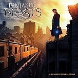 Fantastic Beasts and Where to Find Them 2018 Wall Calendar