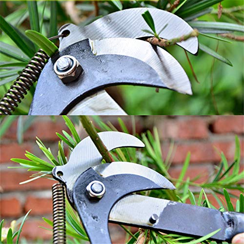 High Altitude Astschere Baum scharf Trimmer Branchen Cutter Gartenschere Pick-Frucht-Werkzeug mit Seilrolle Shear – Bild 6