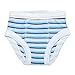 Under the Nile Organic Training Pants (12-24M, Plane Stripe)