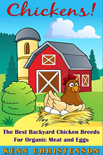 Chickens The Best Backyard Chicken Breeds For Organic Meat And