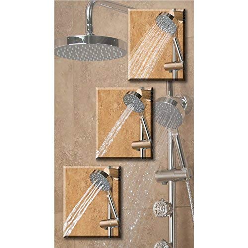 Pulse 1028 Lanikai Shower Spa, Chrome (Renewed)