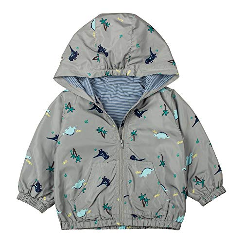 dinosaur coats