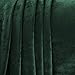 Exclusivo Mezcla Fleece Blanket Queen Size for Bed, Super Soft and Warm, All Season Use, Cozy, Plush, Lightweight, 90x90 Inches, Forest Green