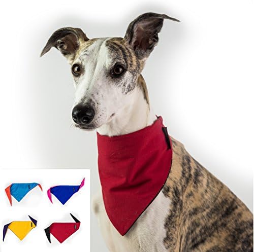 Dogsnug Dog Bandana Cooling Pet Scarf Neckerchief Bib Collar Reversible UK Made - Small, Red and Black
