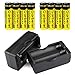 Garberiel 8 PC 18650 Battery 6000 mAh 3.7v Performance Li-ion Rechargeable Batteries + 2 x Dual Chargers