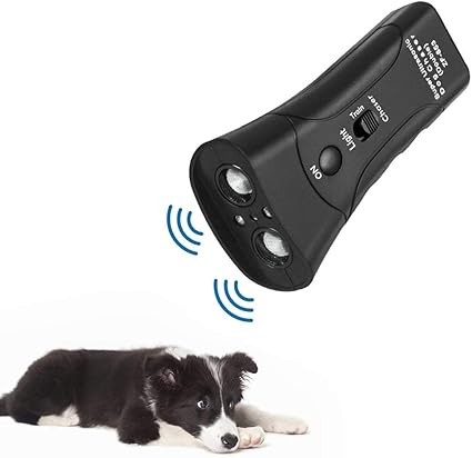 pet gentle dog training