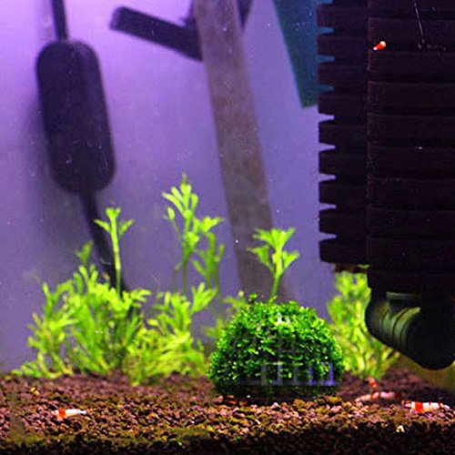 Stebcece Hot Mineral Natural Aquatic Moss Ball for Aquarium Crystal Red Shrimp Fish Tank - Thumbnail 2