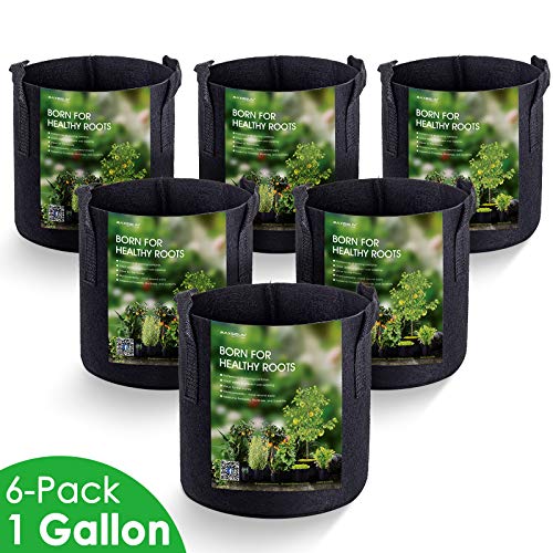 MAXSISUN 6-Pack 1 Gallon Grow Bags, Heavy Duty Thickened Non-Woven Plant Fabric Pots with Reinforced Handles for Gardening