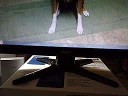 Amazon.com: Acer G236HL Bbd 23-Inch Screen LED-Lit Monitor: Computers