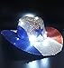 GiftExpress Light Up Patriotic Cowboy Hat/Patriotic Sequin Cowboy Hat/Star Cowboy Hat/Patriotic LED Cowboy Hat/4th of July Costume Hat