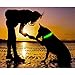 BSeen LED Dog Collar Nylon Webbing USB Rechargeable with 3 Reflective Strings Glowing Pet Safety Collars with Adjustable Buckle & D-Ring for Small Medium Large Dogs (Large, Neon Green)