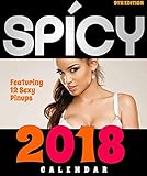 Spicy Bikini Swimsuit Sports 2018 Calendar