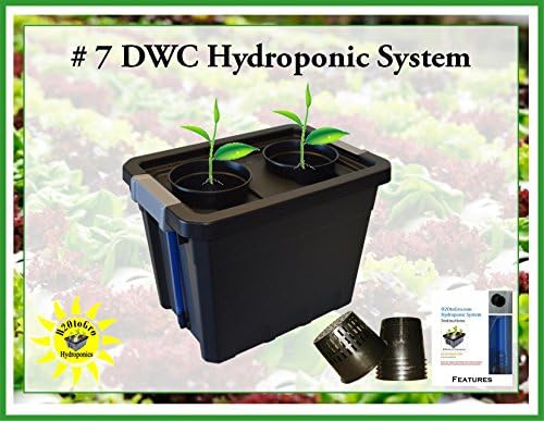 DWC Hydroponic Plant Growing System # 7 2-site H2OtoGro