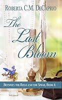 eBook edition cover