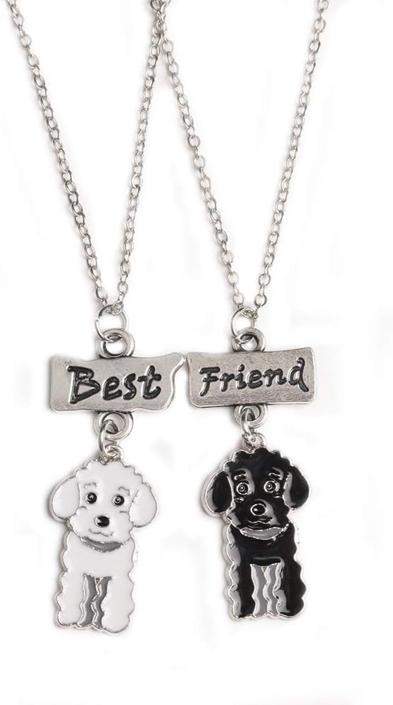 Amazon Com Mummumi Best Friend Necklaces Friendship Lovely Pet Dogs Pendant Fashion Dogs Set Metal Necklace For Valentine S Day Present Birthday Christmas Pug Tidy Bichon Frise Schnauzer Husky Pet Supplies