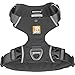 Ruffwear, Front Range Dog Harness, Reflective Soft Padded Everyday Harness with Dual Leash Clips, Adjustable and Lightweight Fit for Training or Walking for All Dogs, Twilight Gray, Large/X-Large